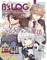 ※商品説明必読※　B's LOG　2018〜2020年　乙女系　雑誌 商品説明必読※ B's LOG 2018〜2020年 乙女系 雑誌 商品説明必読